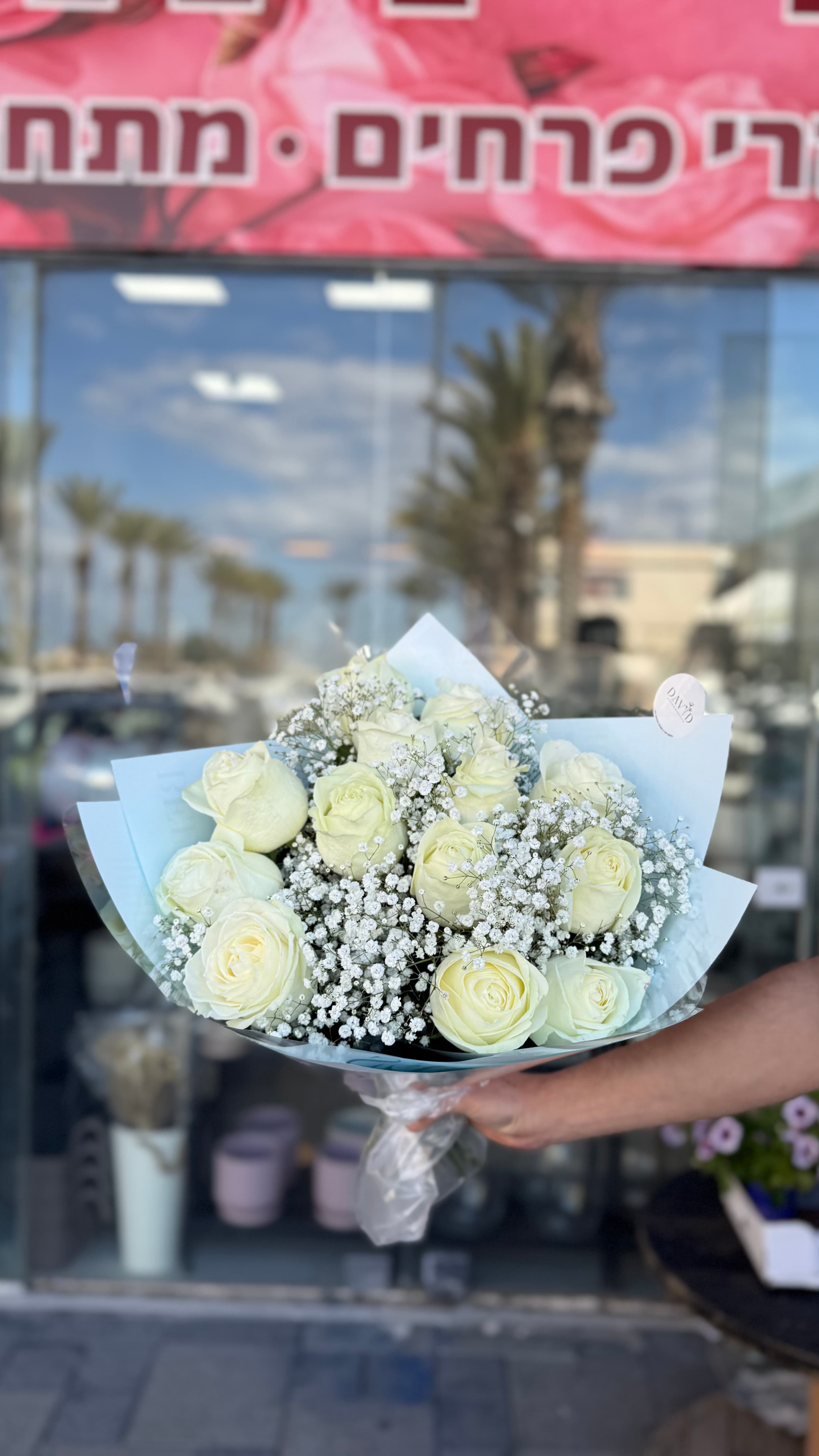 ורדים לבנים וגבסנית